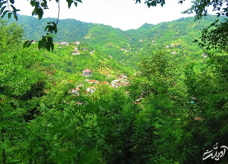 (تصاویر) آرامش جنگلهای زیبای سرولات و جنگسرا